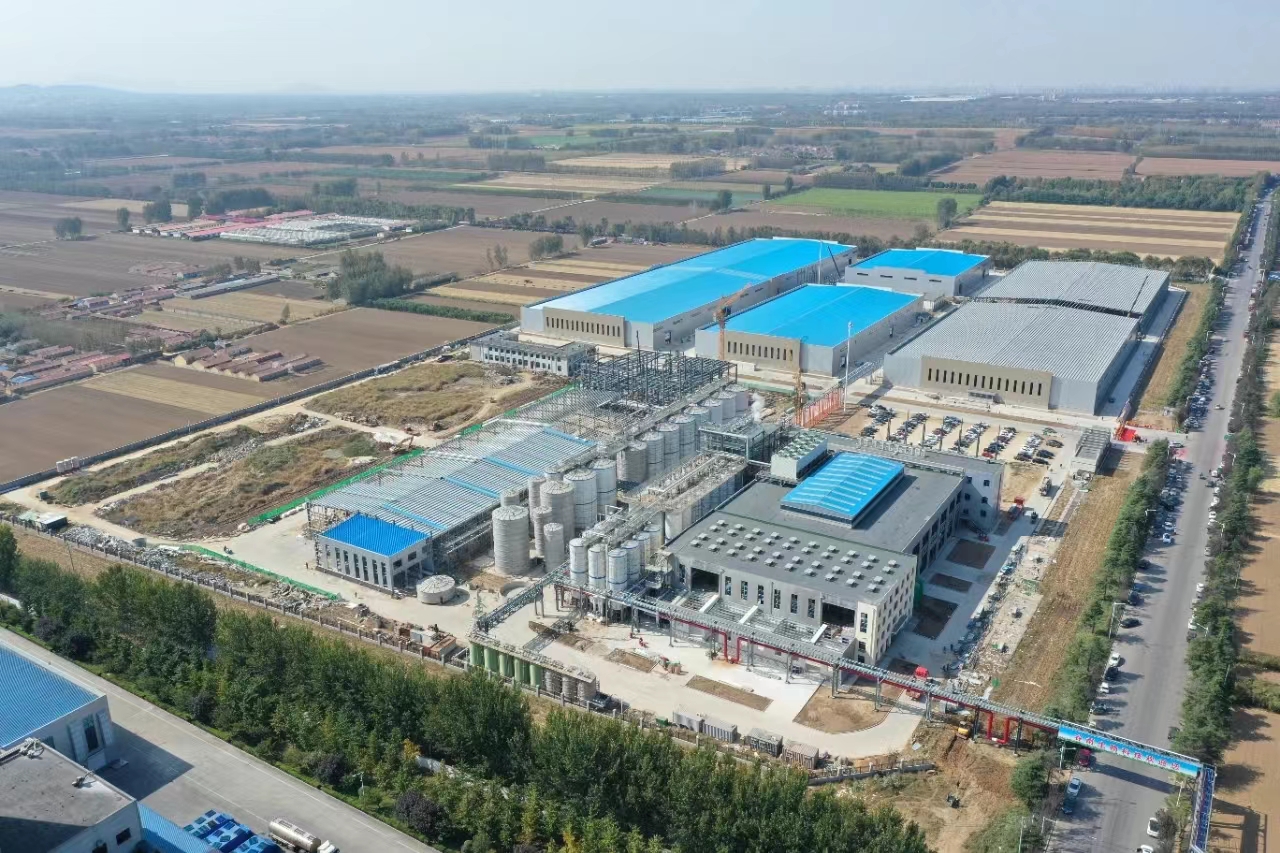 &iquest;Cu&aacute;l es el proceso de producci&oacute;n de glucosa?