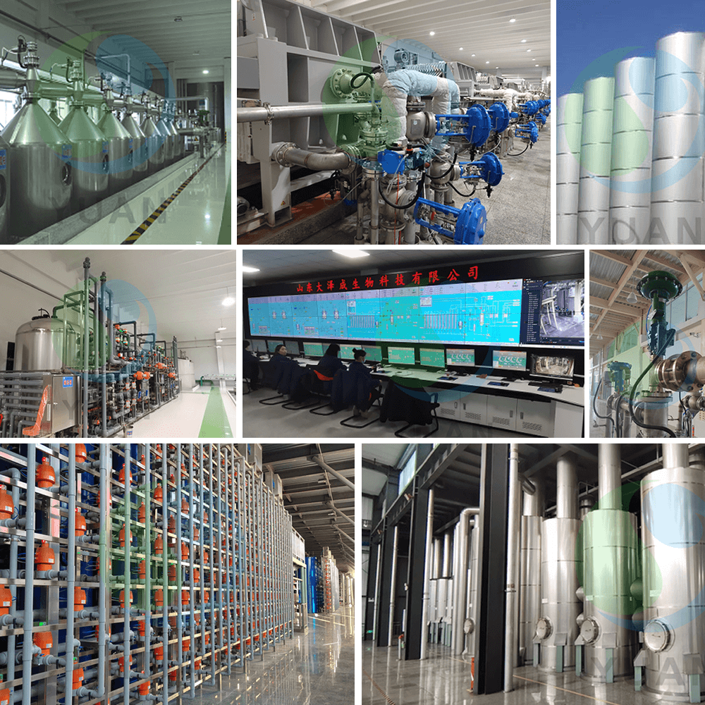 Proyecto de glucosa y maltosa y glucosa de arroz