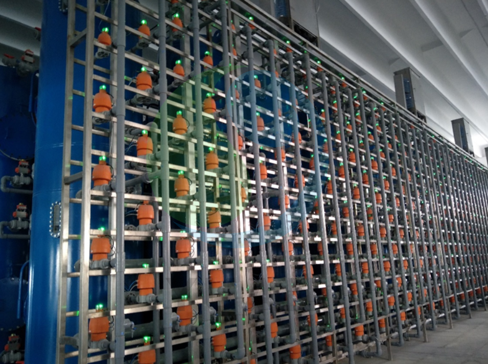 Decolorizaci&oacute;n 2