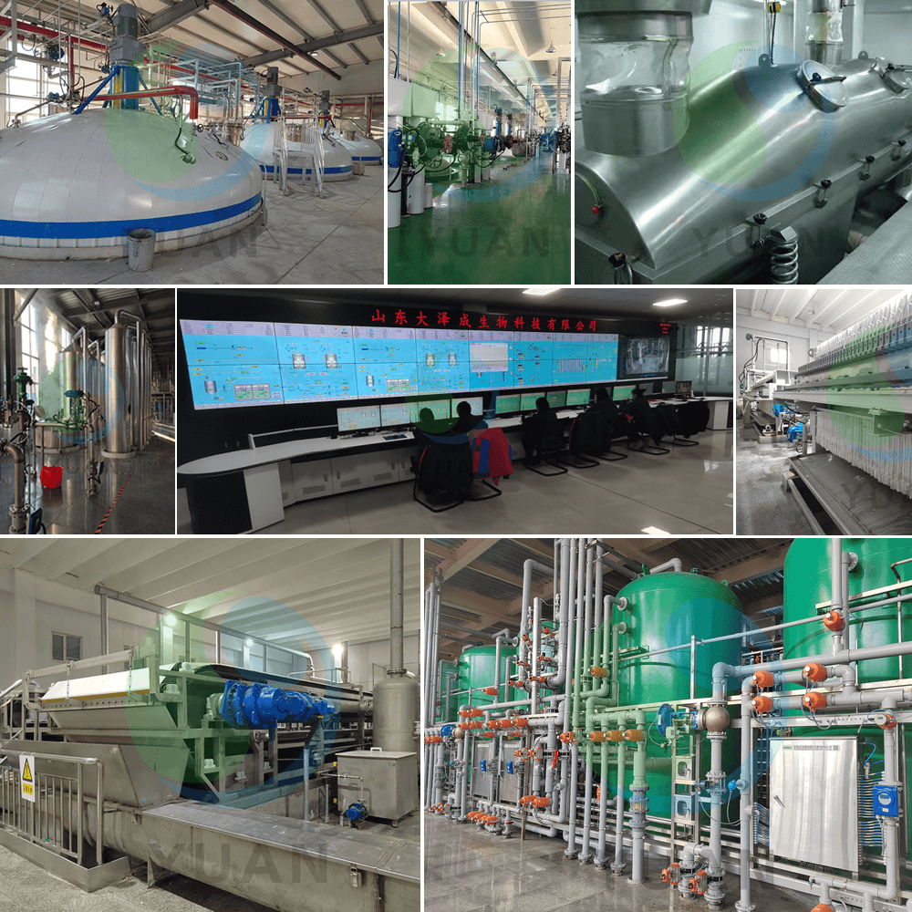 Proyecto de ácido cítrico