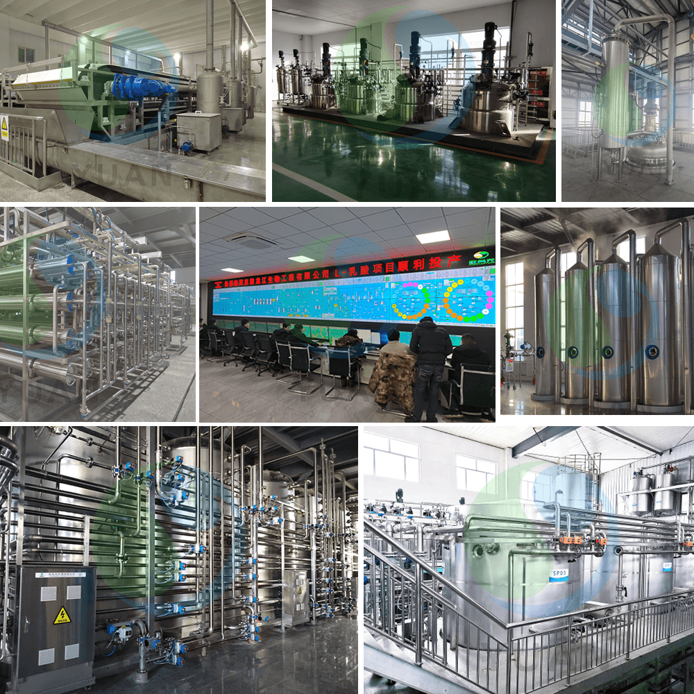 Proyecto de ácido láctico